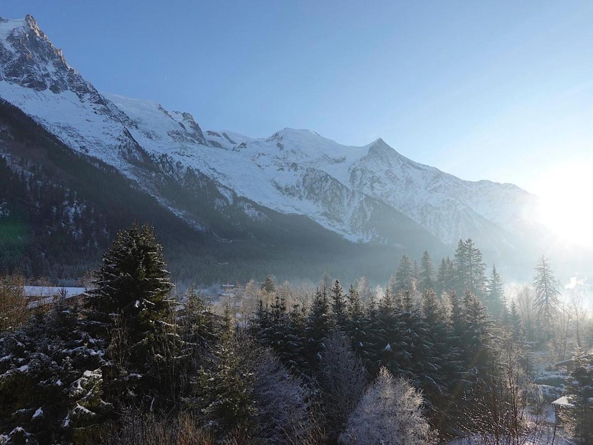 Ferienwohnung T4 Renove Avec Vue Mont-Blanc, 4 Etoiles, Proche Centre, Parking - Fr-1-507-62 Chamonix Exterior foto